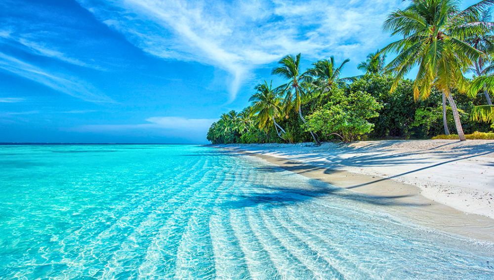 MALDIVE.png