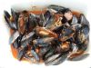 Cozze alla Tarantina